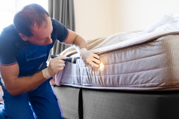 Best Bed Bug Extermination  in Shenandoah, LA